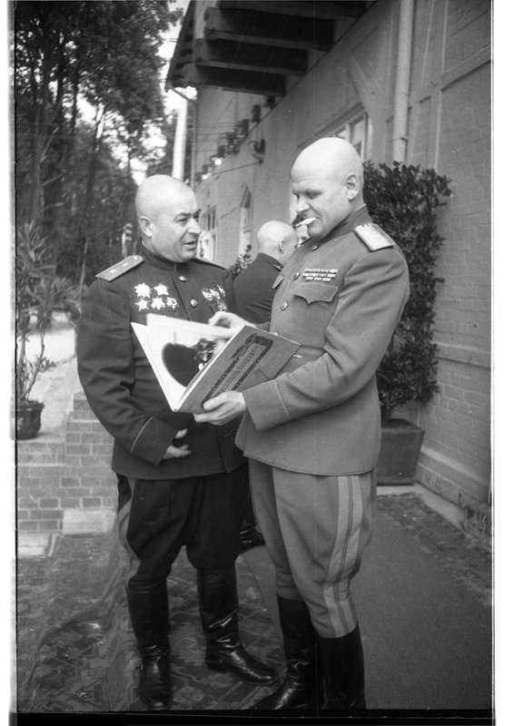 Без названия