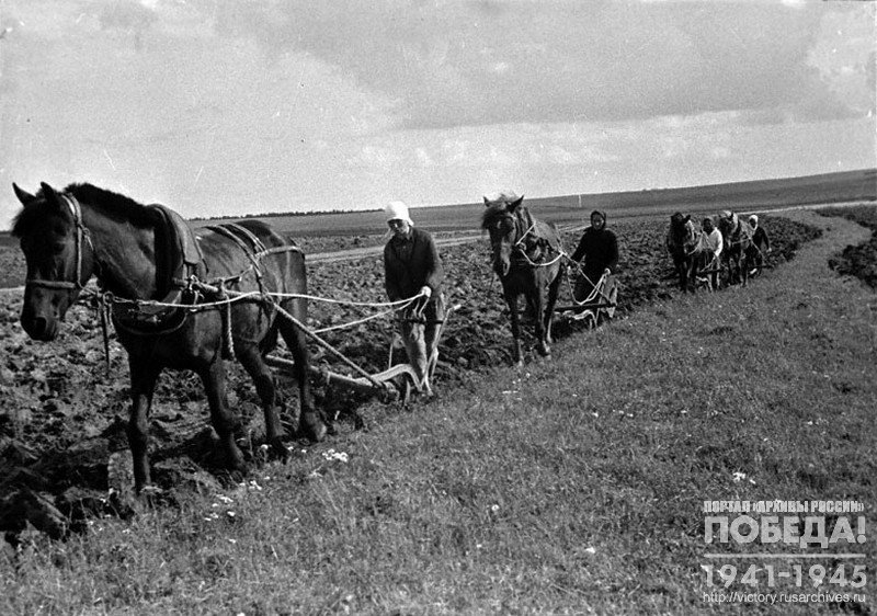 Пахота паров в колхозе «Новая жизнь» в одном из районов, освобожденных от немецкой оккупации