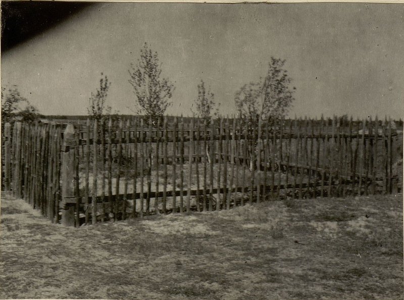 Image: The individual grave is located on the northern outskirts of the village of Molcha, Parichsky district, Bobruisk region.
