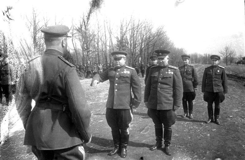 Без названия