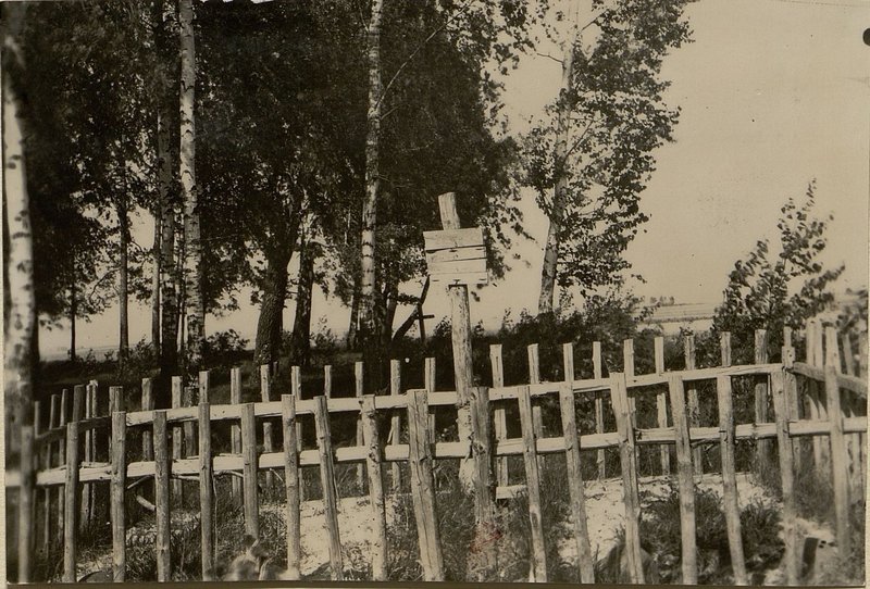 Image: At the common cemetery there is a mass grave, the village of Pustoshka, Bortnikovsky village council, Bobruisk district