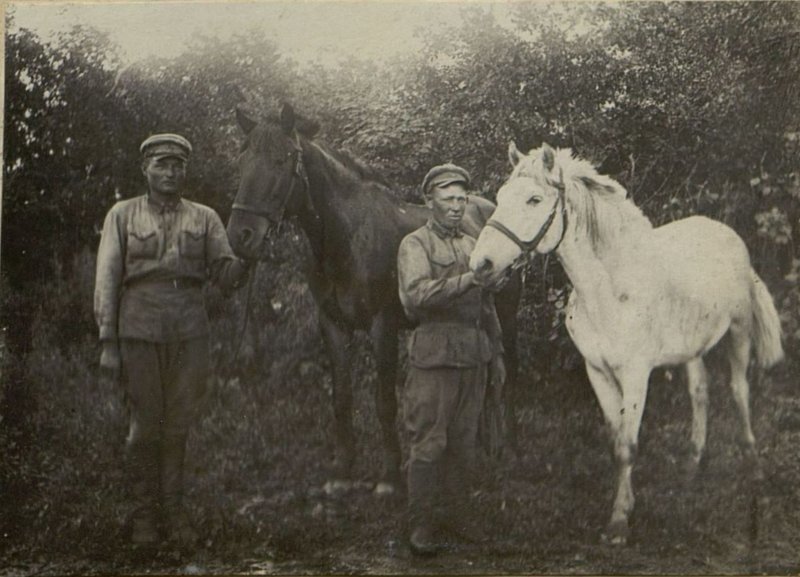 Фотография: Лучшими бойцами ветчасти полка являются: Ковкузнецы: Журавлев, Малков и Щетинин. Ветсанитар: Медведев
