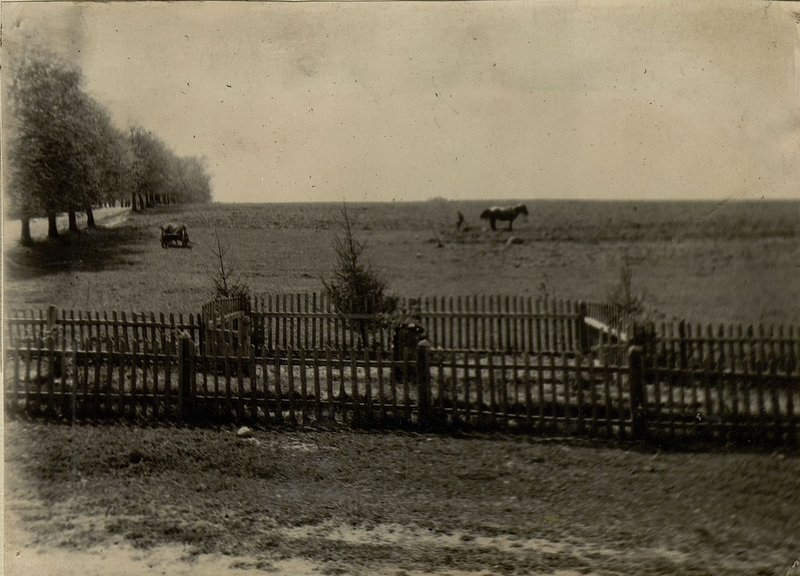 Image: The mass grave is located on the southern outskirts of the settlement Staritsa, at the junction of roads, Staritsa - Slutsk, Staritsa — Bobovnya