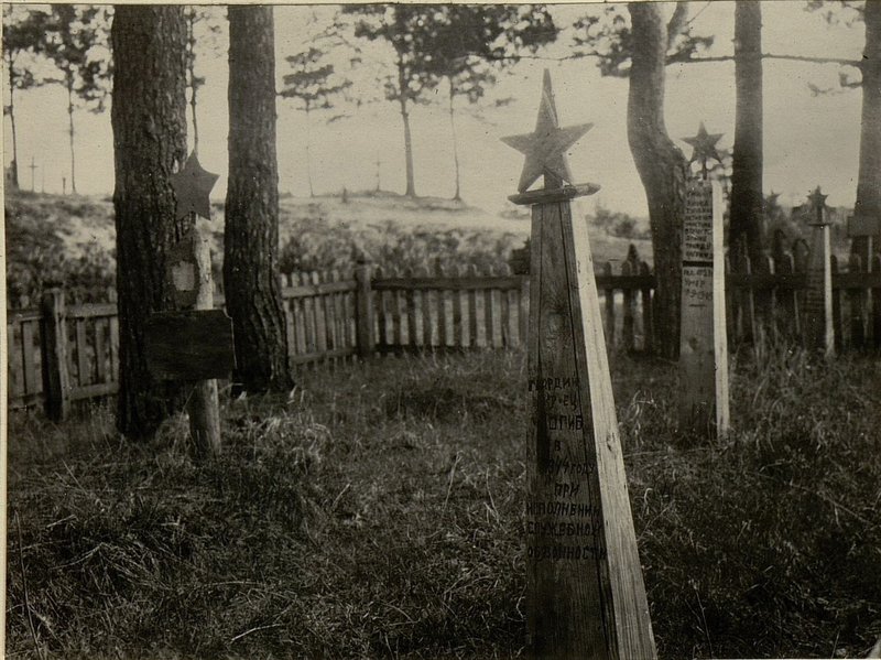 Фотография: Братские могилы расположены южнее г. Старые Дороги, 200 метров, у шоссе Москва - Брест