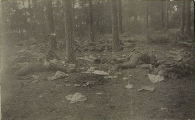 Image: The enemy's manpower destroyed on 28.4.45 in the forest of the Teirov region