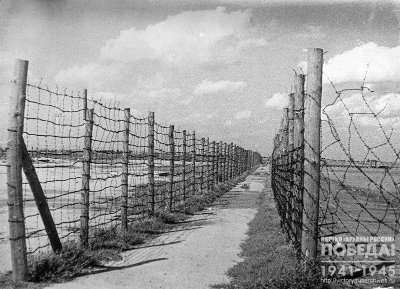 "Alley of death" in the Treblinka concentration camp, where prisoners were being executed