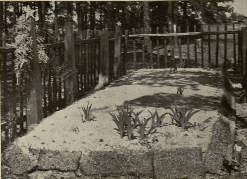 Image: The mass grave is located on the northeastern outskirts of a civil cemetery, 200 meters from the village of Baratin, Dokolsky village council of Glussky district
