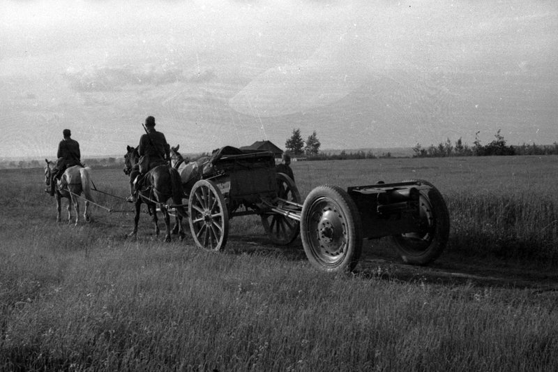 «Калининский фронт. Перевозка 76-мм полковой пушки образца 1927 года.»