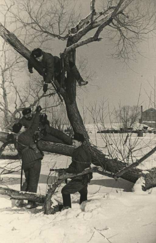 Captain Granin, commander of the 402nd railway artillery division of the 101st naval brigade of the railway artillery of the Baltic Fleet