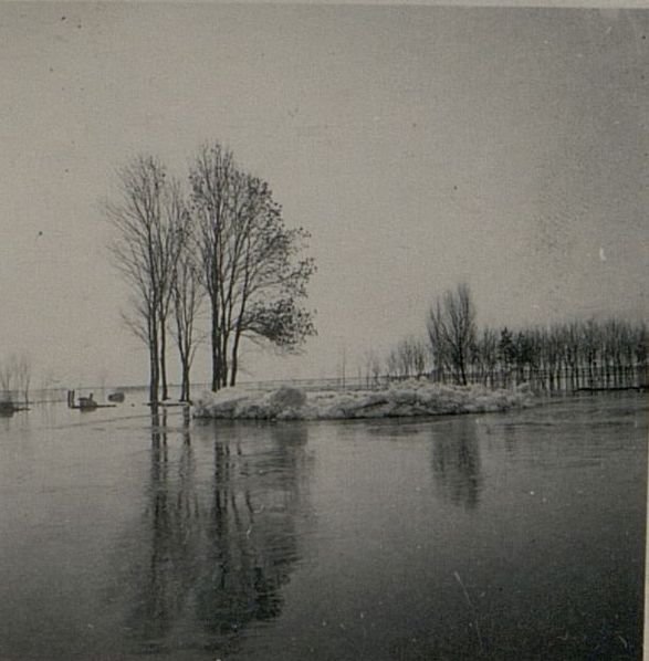 Image: The left bank of the Danube river flooded with water in the Dunapentella district