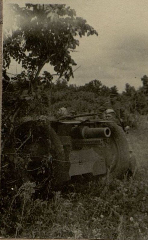 Фотография: Боевая подготовка
