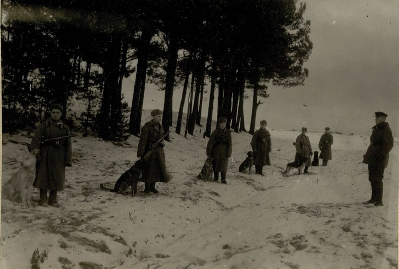 Image: The mine-sapper service was used to clear the mines of the special services dogs. Pictured: Special services dog department