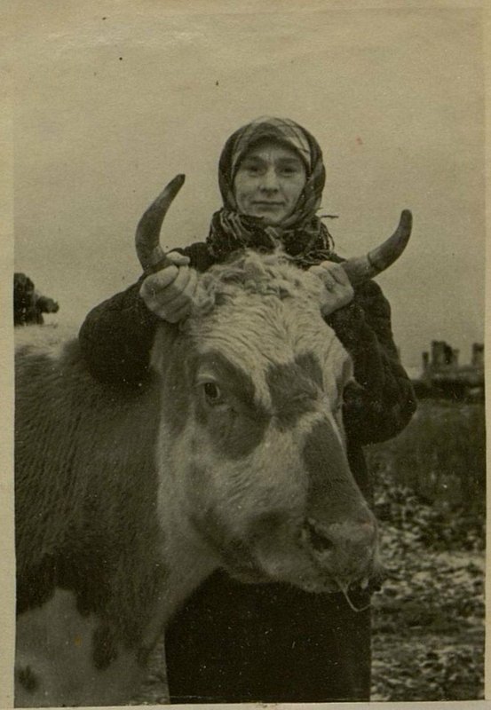 Фотография: Подсобное хозяйство