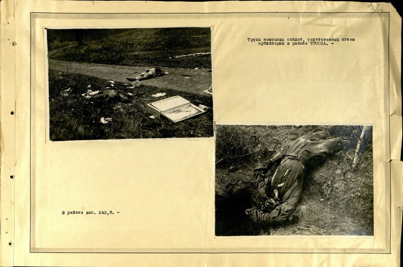 Original image: The corpses of German soldiers destroyed by artillery fire in the area at height of 243.8