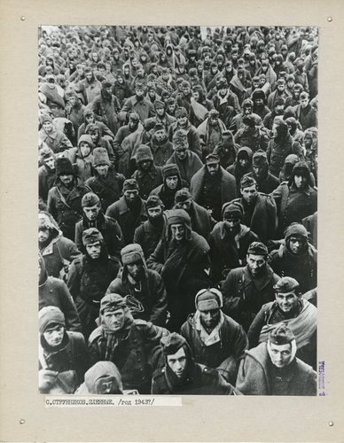 «Пленные»