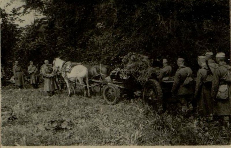 Фотография: Боевая подготовка