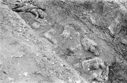 Corpses of Majdanek concentration camp prisoners