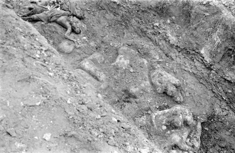Corpses of Majdanek concentration camp prisoners