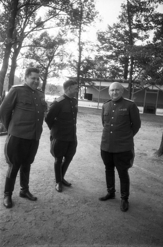 Без названия