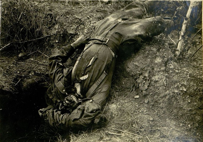Image: The corpses of German soldiers destroyed by artillery fire in the area at height of 243.8