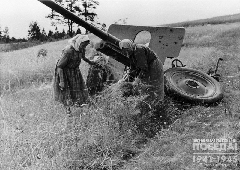 Женщины убирают урожай на одном из полей
