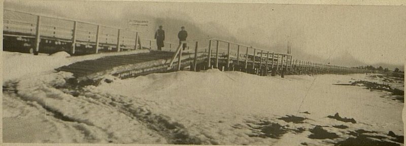 Фотография: Заготовка лесоматериала