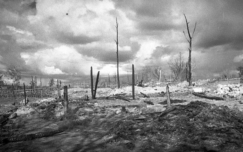 Village burned down by the Germans during the retreat near Rzhev, Kalinin Region.