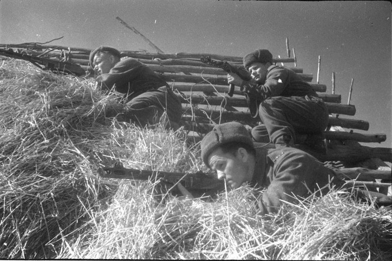 Без названия