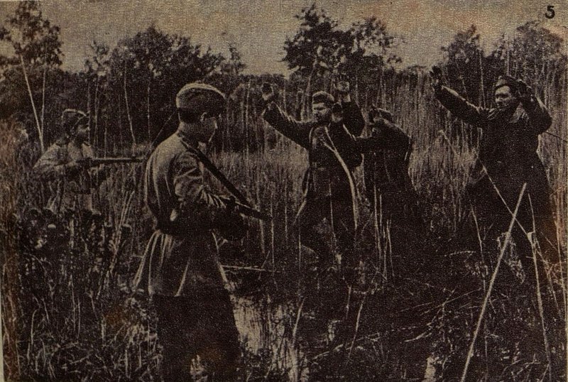 Image: Description of the history of the 243rd Rifle Division