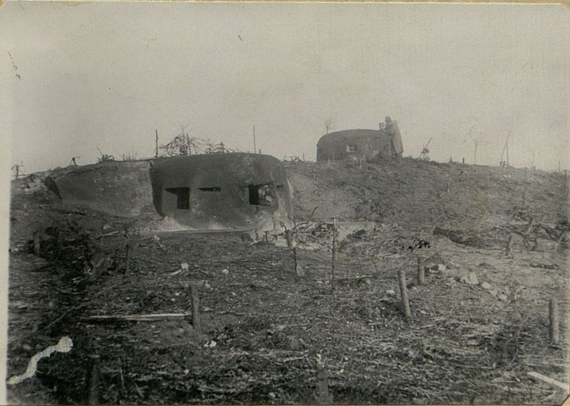 Фотография: Общий вид ДОТ № 717