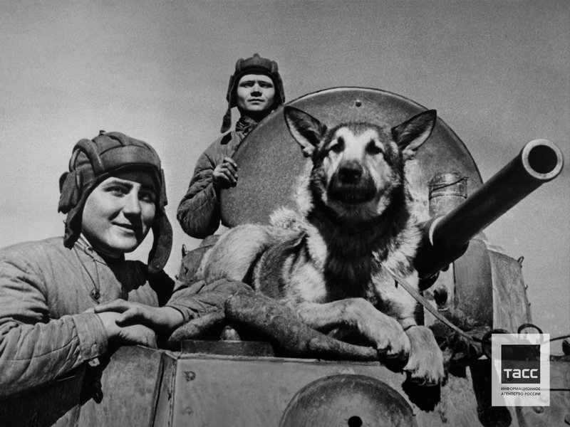 Друзья-разведчики, 1942 год.