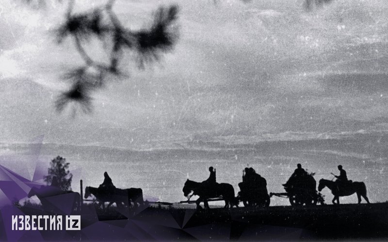 Horse train. Western front