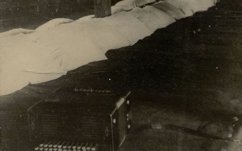 Фотография: Прием молодого пополнения
