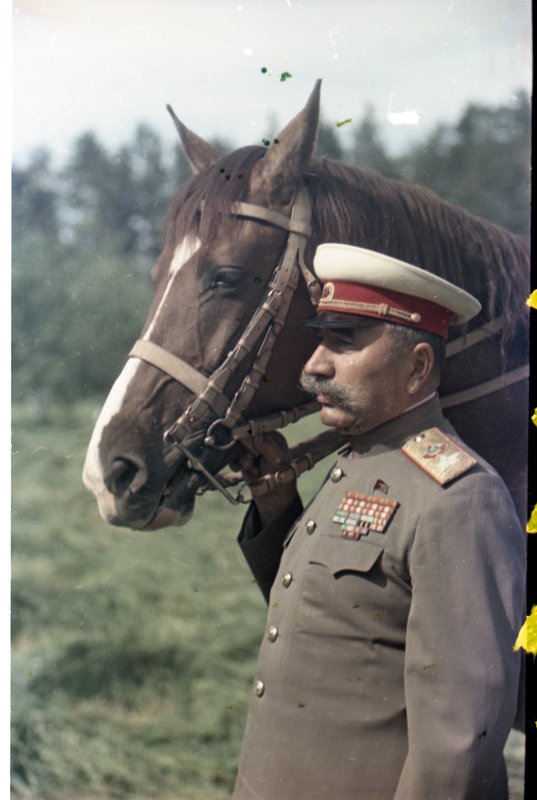 «Маршал Советского Союза С.М.Будённый на даче с любимым конём Софистом.»