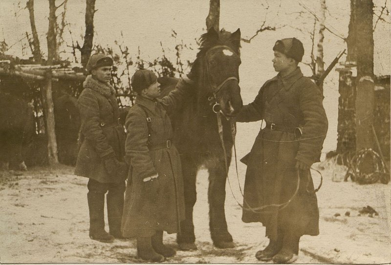 Фотография: Ком. батарей Самсонов проводит осмотр конной тяги. 1940 г.