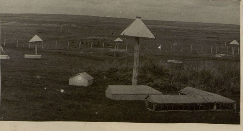 Фотография: Подсобное хозяйство
