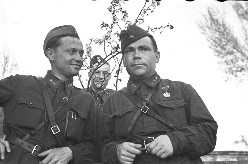 Без названия