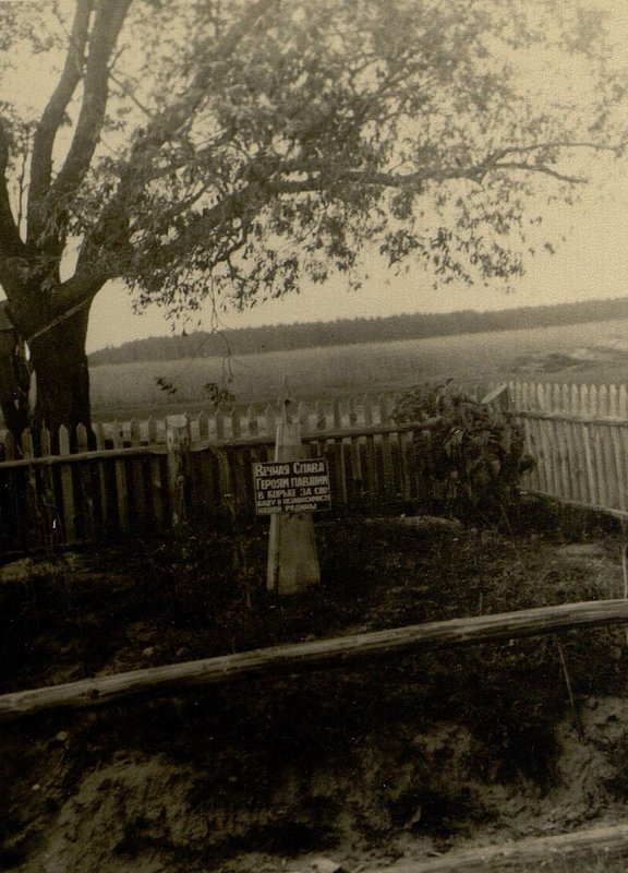 Image: Mass grave number 15