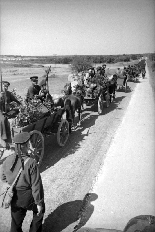 Photo from the archive of Central Navy Museum in Petersburg