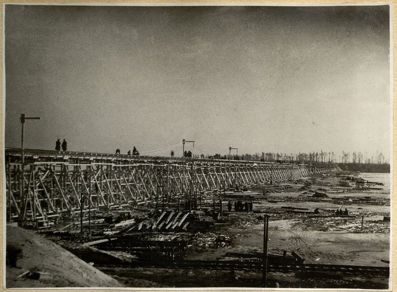 Фотография: Общий вид моста