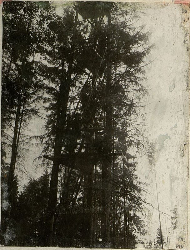 Image: At the observation post of the gunners