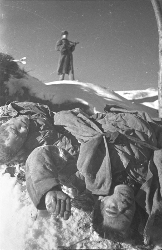 Soviet POWs killed by the Nazis (Stalingrad Region)