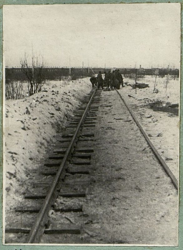 Фотография: Укладка нашпальников на временном подходе правого берега