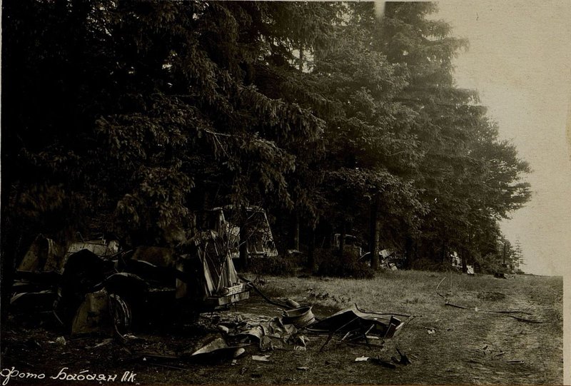Image: General view of the forest edge 1 km. from. h. Matsawa with destroyed cars