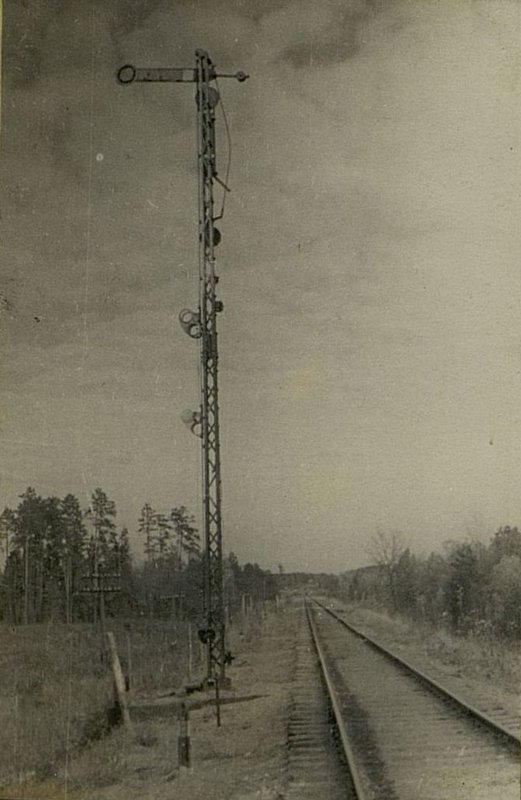 Фотография: Восстановленный путь