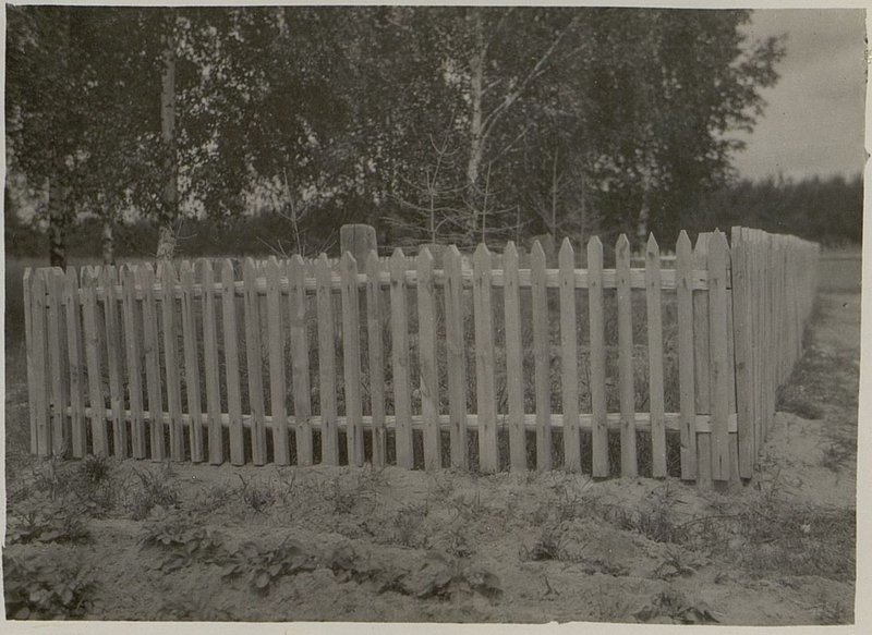 Image: War burial, Ivyevsky district, Morino
