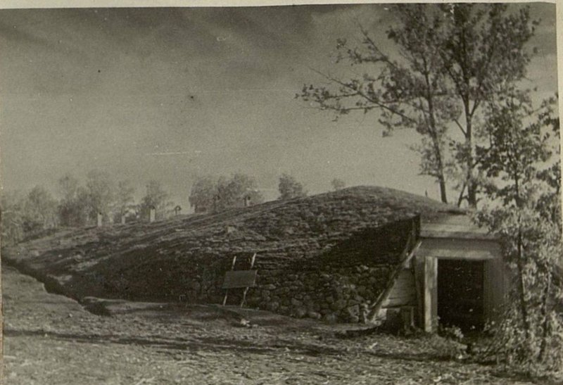 Фотография: Подсобное хозяйство