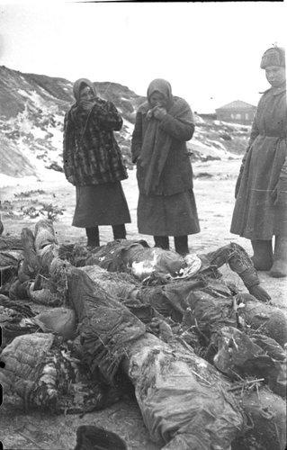 В освобожденном нацистском лагере для военнопленных (Сталинградская область)