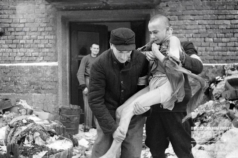 15-летний Иван Дудник из Орловской области, доведенный в концентрационном лагере Аушвиц-Беркенау до сумашествия