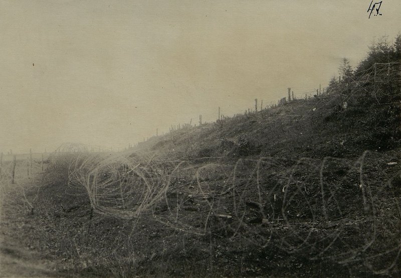 Image: The Bruno spiral in the range of the 95th Rifle Corps